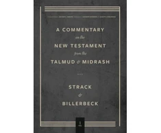 KNYGA Hermann Strack Volume 1, Matthew
