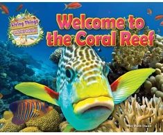 KNYGA Honor Head Welcome to the Coral Reef