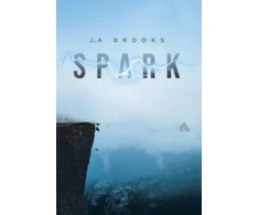 KNYGA J A Brooks Kibirkštis