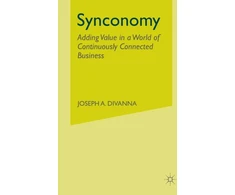 KNYGA J Divanna Synconomy