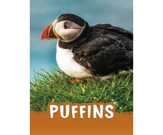 KNYGA Jaclyn Jaycox Puffins