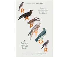 KNYGA James Macdonald Lockhart Raptor