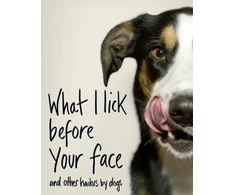 KNYGA Jamie Coleman What I Lick Before Your Face ... and Other Haikus By Dogs