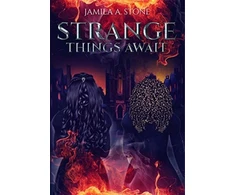 KNYGA Jamila Stone Strange Things Await