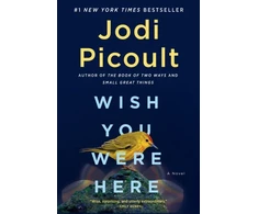 KNYGA Jodi Picoult Wish You Were Here