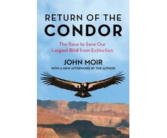 KNYGA John Moir Return of the Condor