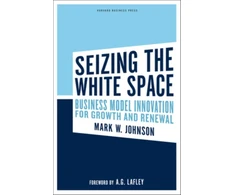 KNYGA Johnson Mark W Seizing the Baltas Space