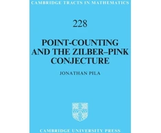 KNYGA Jonathan Pila Point-Counting and the Zilber–Rožinė Conjecture