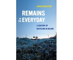KNYGA Joshua Goldstein Remains of the Everyday