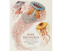 KNYGA Judith Magee Rare Treasures