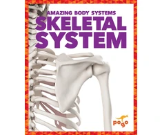 KNYGA Karen Latchana Kenney Skeletal System