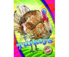 KNYGA Kari Schuetz Turkeys