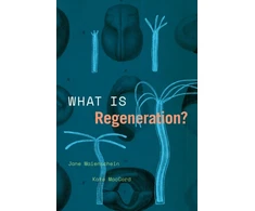 KNYGA Kate Maccord What Is Regeneration?