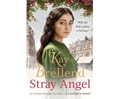 KNYGA Kay Brellend Stray Angel: an absolutely heart-rending Christmas saga