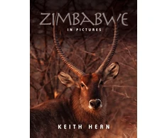 KNYGA Keith Hern Zimbabwe in Pictures