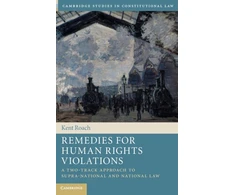 KNYGA Kent Roach Remedies for Human Rights Violations