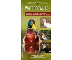 KNYGA Kevin J Mcgowan Waterfowl Id Set