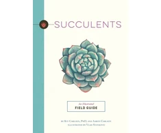 KNYGA Kit Carlson Succulents
