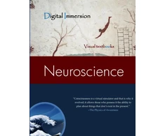 KNYGA Lane David Neuroscience Text