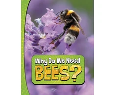 KNYGA Laura K Murray Why Do We Need Bees?
