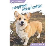 KNYGA Libby Wilson Pembroke Welsh Corgis