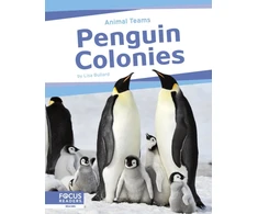 KNYGA Lisa Bullard Penguin Colonies