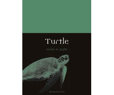 KNYGA Louise M Pryke Turtle