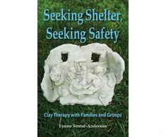 KNYGA Lynne Souter Anderson Seeking Shelter, Seeking Safety