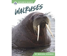 KNYGA Marissa Kirkman Walruses