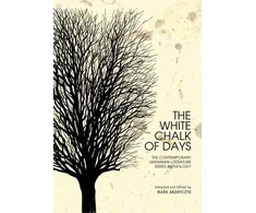 KNYGA Mark Andryczyk Baltas Chalk of Days