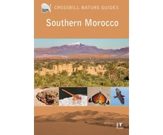 KNYGA Martin Pitt Southern Morocco