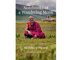 KNYGA Matthieu Ricard Notebooks of a Wandering Monk