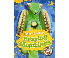 KNYGA Megan Borgert Spaniol Praying Mantises