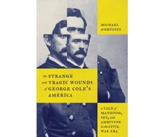 KNYGA Michael Degruccio Strange and Tragic Wounds of George Cole's America