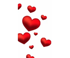 KNYGA Michael Huhn Valentine's red Hearts Creative blank Journal
