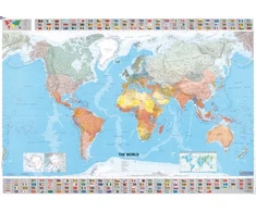 KNYGA Michelin Travel Publications World - Michelin rolled &amp; tubed wall map Paper