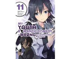 KNYGA My Youth Romantic Comedy Is Wrong, As I Expected @ comic, Vol. 11 (manga)