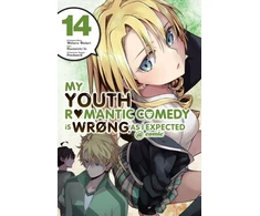 KNYGA My Youth Romantic Comedy Is Wrong, As I Expected @ comic, Vol. 14 (manga)