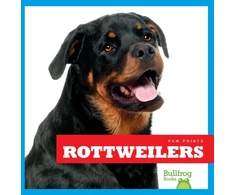 KNYGA Nadia Higgins Rottweilers