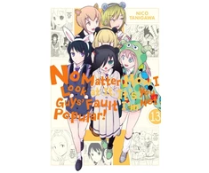 KNYGA Nico Tanigawa No Matter How I Look at It, It's You Guys' Fault I'm Not Popular!, Vol. 13