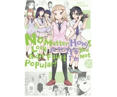 KNYGA Nico Tanigawa No Matter How I Look at It, It's You Guys' Fault I'm Not Popular!, Vol. 20