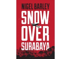 KNYGA Nigel Barley Snow over Surabaya