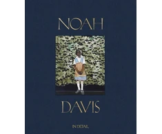 KNYGA Noah Davis: In Detail
