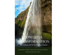 KNYGA Padmasambhava Powerful Transformation