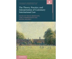 KNYGA Panos Merkouris Theory, Practice, and Interpretation of Customary International Law