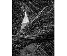 KNYGA Patrick Dougherty | James Florio: Sticks