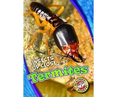 KNYGA Patrick Perish Termites