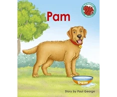 KNYGA Paul George Pam