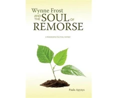 KNYGA Paula Apynys Wynne Frost and the Soul of Remorse