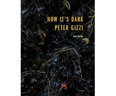 KNYGA Peter Gizzi Now It's Dark